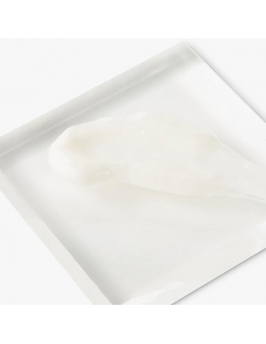 Zenagen - Evolve Nourishing Conditioner - 500ml @ BarberKing.ca