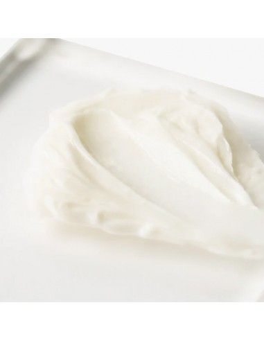 Zenagen - Flexture Paste - 56g @ BarberKing.ca