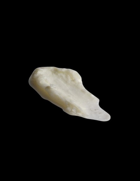 Suavecito - Matte Pomade - 113g @ BarberKing.ca