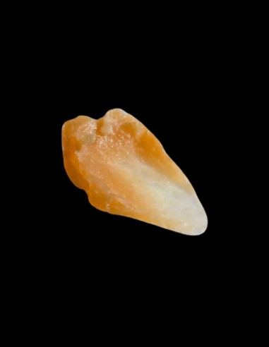 Suavecito - Moustache Wax Whiskey Bar - 43g @ BarberKing.ca