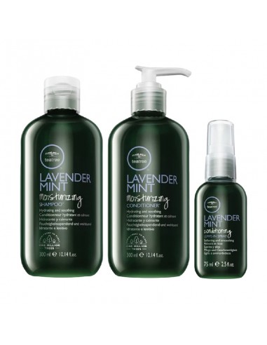Paul Mitchell Tea Tree Lavender Mint Kit @ BarberKing.ca