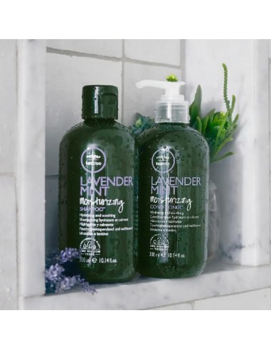 Paul Mitchell Tea Tree - Lavender Mint Moisturizing Shampoo - 300ml @ BarberKing.ca