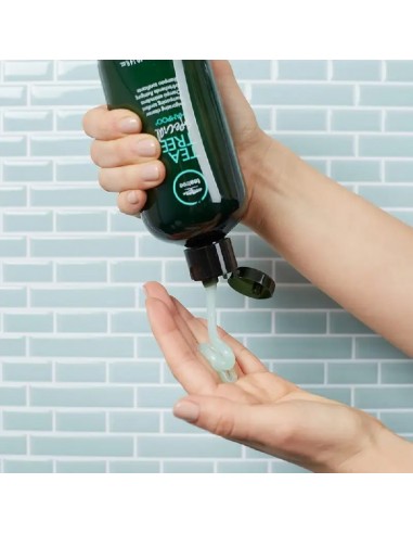 Paul Mitchell Tea Tree - Special Shampoo - 300ml @ BarberKing.ca