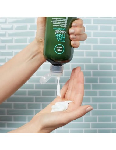 Paul Mitchell Tea Tree - Special Conditioner - 300ml @ BarberKing.ca